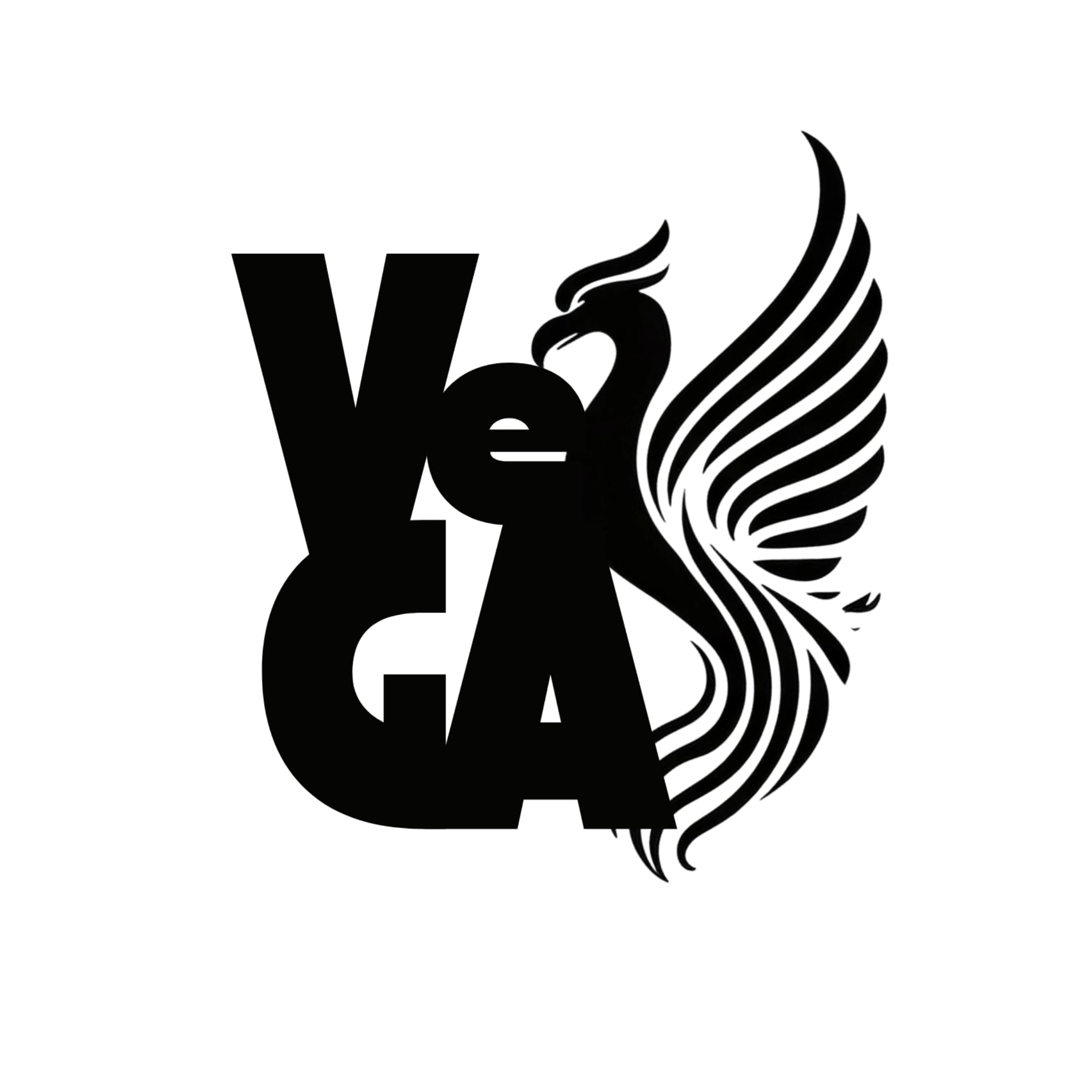 Veiga Studios